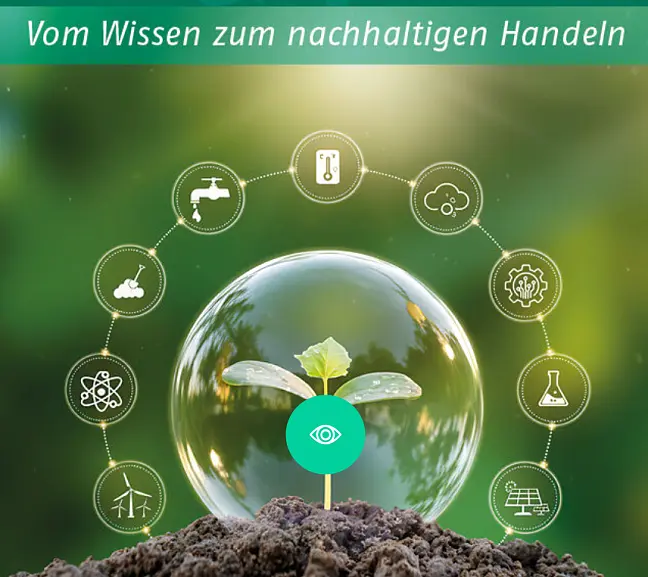 Eine Glühbirne, in der eine Pflanze wächst 